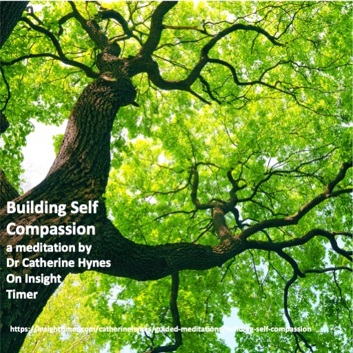 Promotional banner featuring a sunlit tree; text reads 'Building Self Compassion', a meditation by Dr Catherine Hynes on Insight Timer (URL shown).